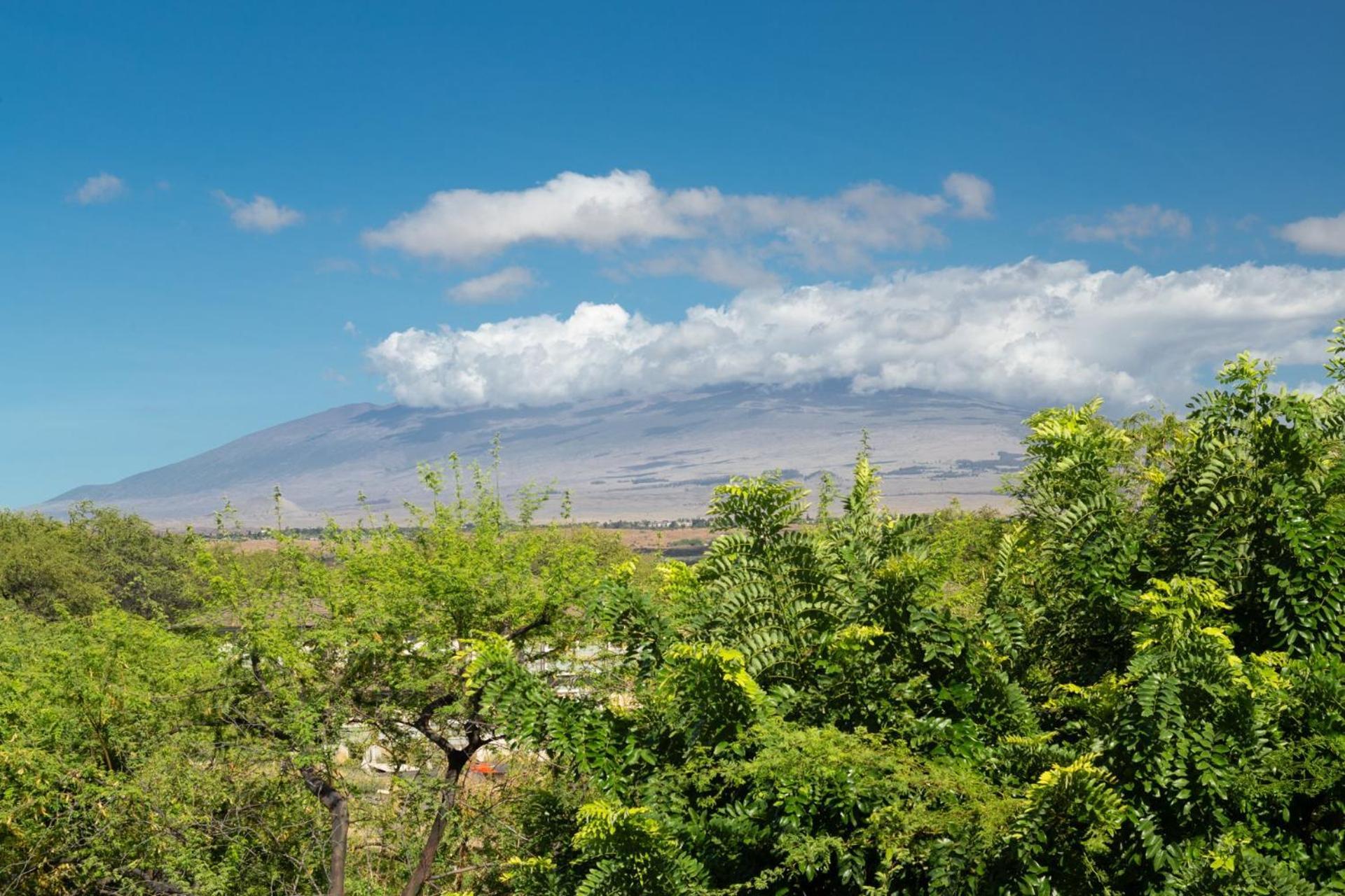 Pineapple Hale Lovely 4Br Kamilo Home With Private Beach Access Waikoloa Exterior photo